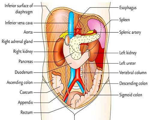How to examine abdominal pain?