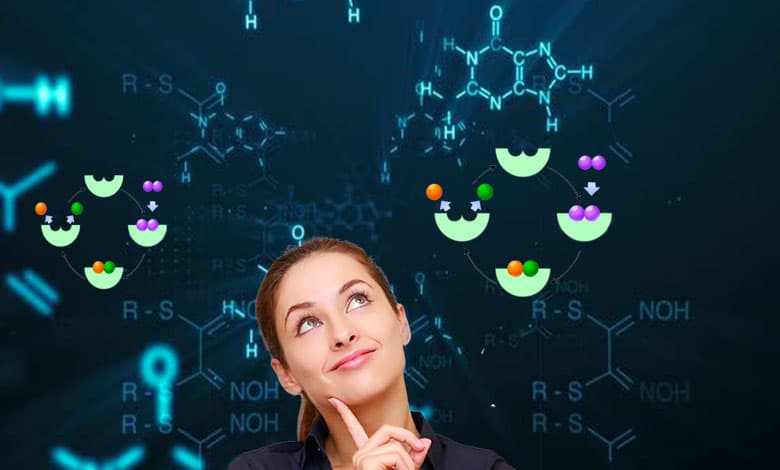 How Do Enzymes Work