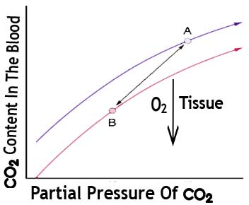 Haldane effect graph