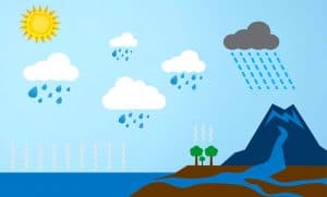 How Rain Is Formed? (Water Cycle, Cloud, Rainfall) - JournalHow