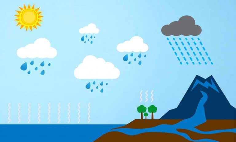 How Rain Is Formed? (water Cycle, Cloud, Rainfall) - Journalhow