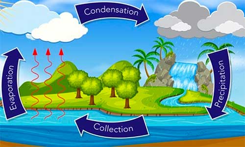 How Rain Is Formed? (Water Cycle, Cloud, Rainfall) - JournalHow