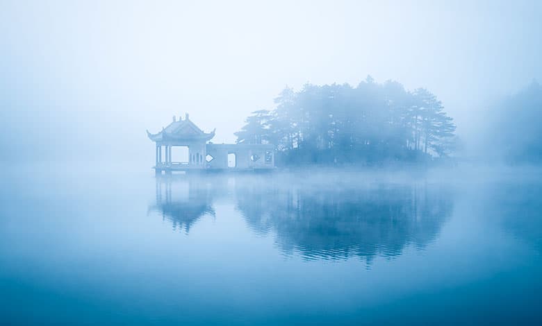 What is fog made of