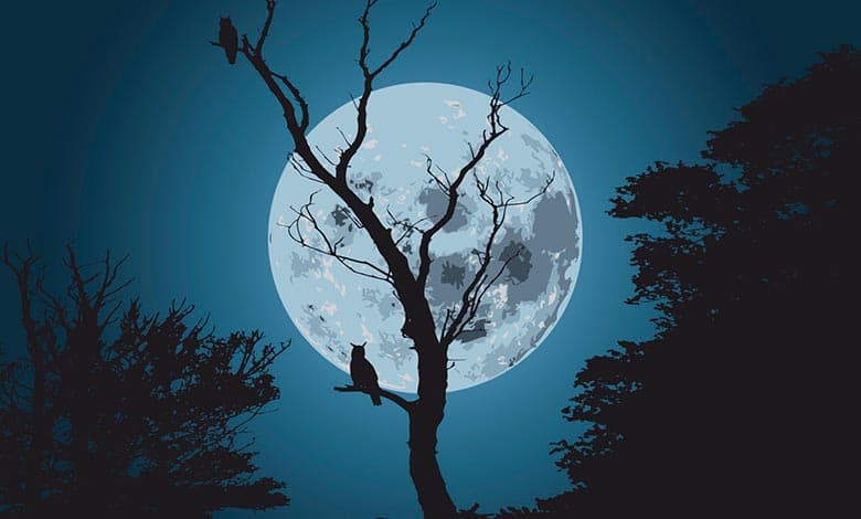 Why moon is white