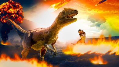 How did dinosaurs die