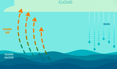 typhoon formation journalhow