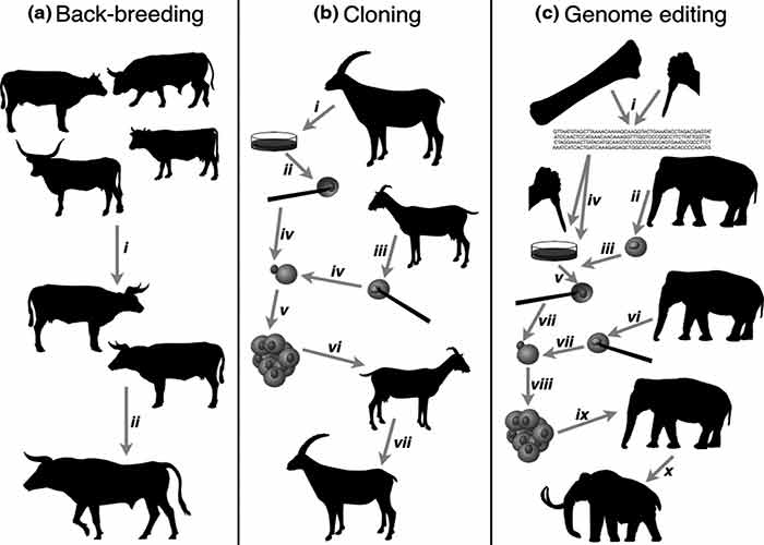 how-to-bring-back-extinct-animals-journalhow