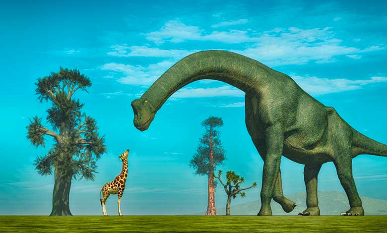 Why Did Dinosaurs Get So Big? - JournalHow