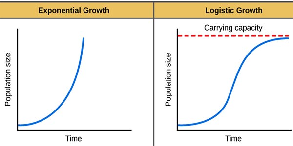 Could We Control Human Overpopulation? - JournalHow