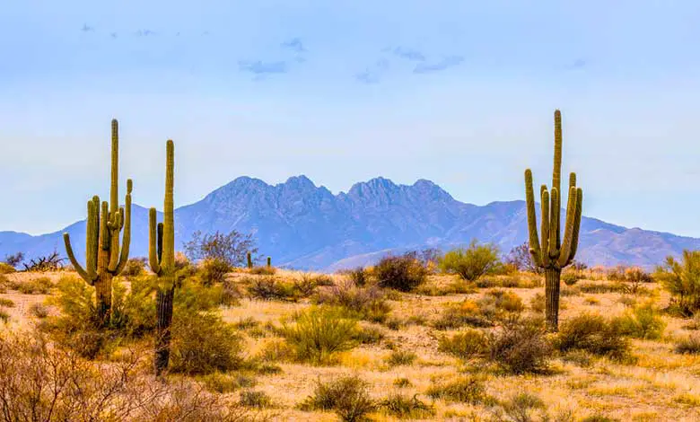 Why does earth have deserts