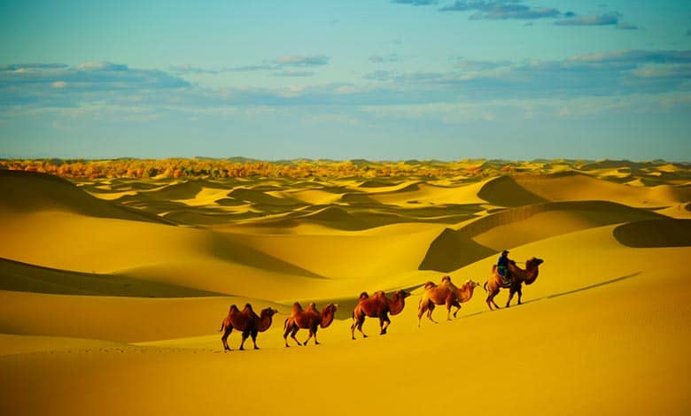 Why does the sahara desert exist