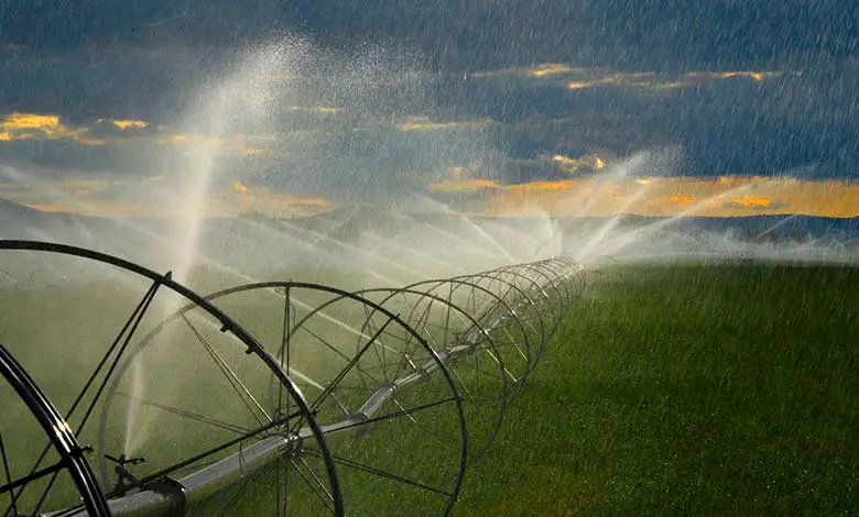Can Seawater Be Used For Irrigation